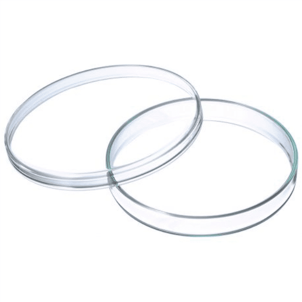 Capsula Petri Vidrio Boro 3.3