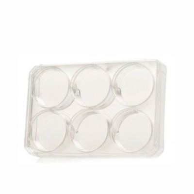 Placa p/ Cultivo Celular